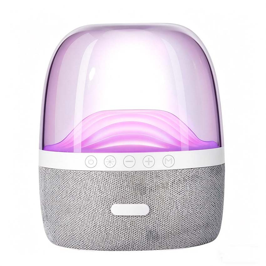 KTS-1842 Wireless Portable Outdoor BT Speaker with FM Radio and Torch Light 2 Inch Factory Price Wholesale OEM